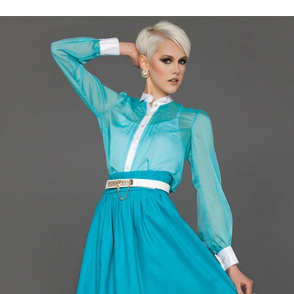 Jane shirt. Sheer button down Top .